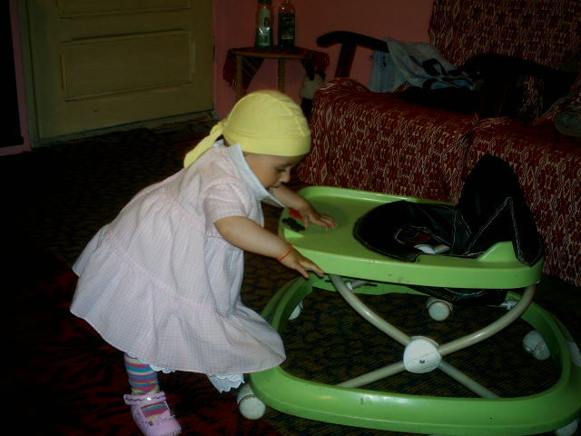 iulie 2009 072