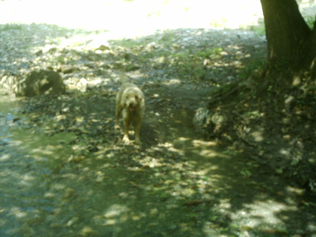 iulie 2009 123