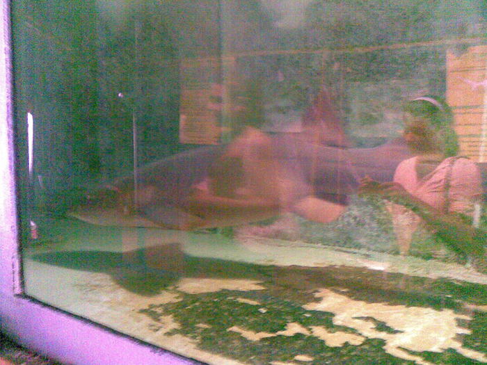 01082010(014) - poze personale