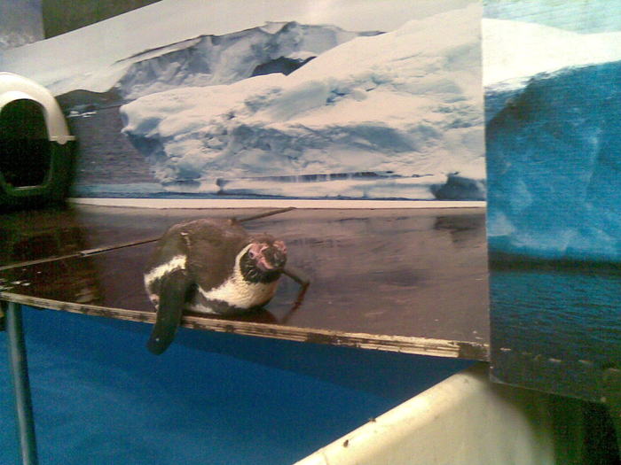 01082010(031) - poze personale