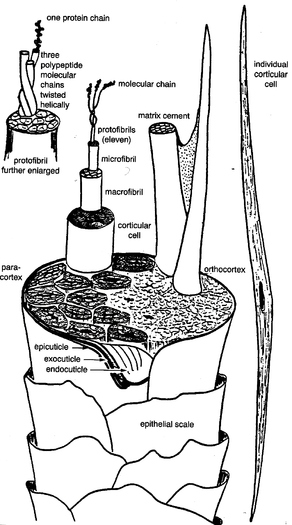 fig.1.28