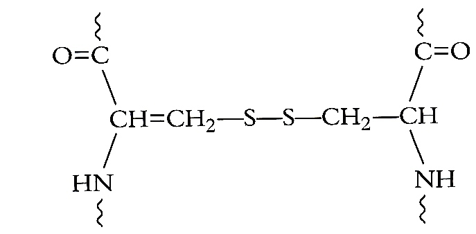 vool_F 4  pag 52