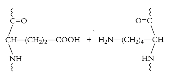 vool_F 9  pag 53