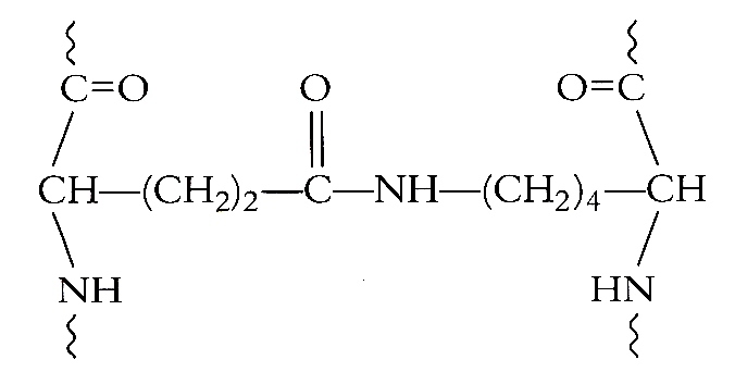 vool_F 10 pag 53