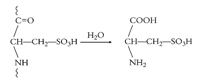 vool_F 11 pag 53