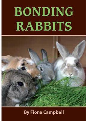 Bonding rabbits - A - CARTI  -   iepuri si altele