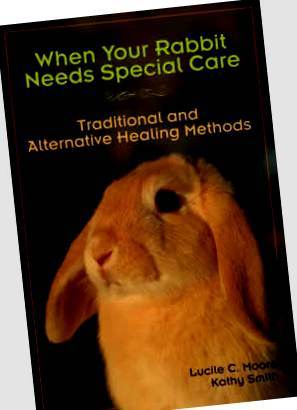 When your rabbit needs special care; .......Cand iepurele tau are nevoie de ajutor special...
