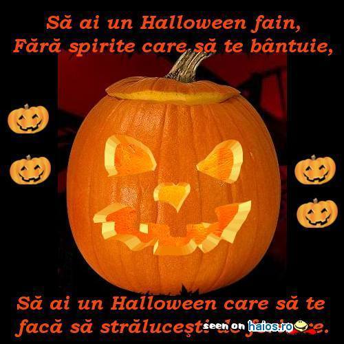 poze_haioase_funny_photos_02664110012569087554aeae7d341156966259274 - HAPPY  HALLOWEN