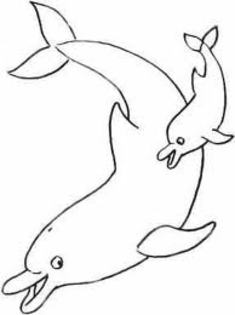 delfini - imagini de colorat
