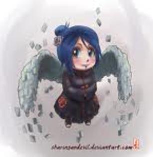 14 - konan