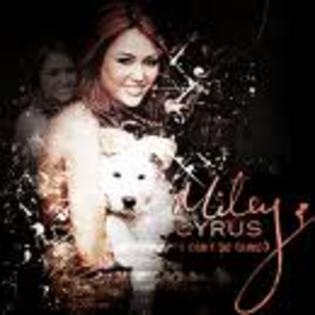images - miley cyrus si hannah montana