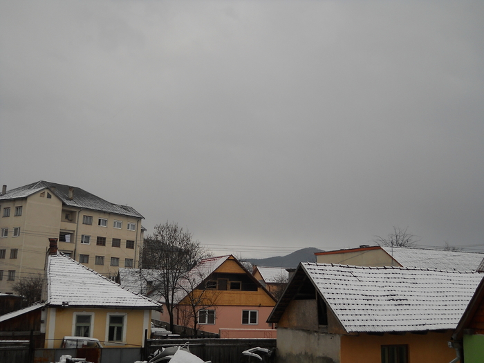 Picture 004