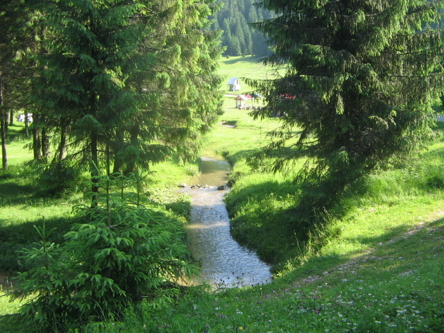 IMG_0138; Pârâu
