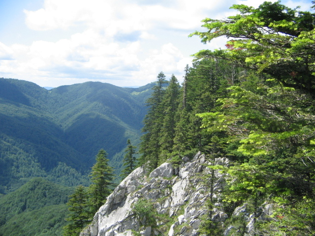 IMG_0262; Vedere de pe Pietrele Galbenei
