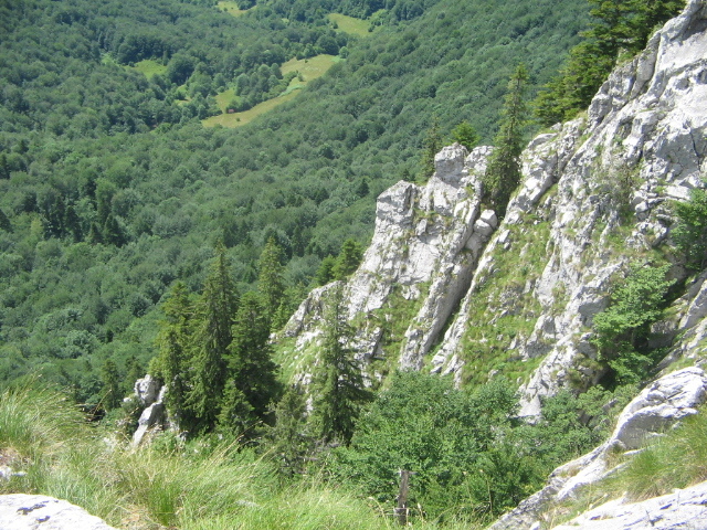 IMG_0266; Vedere de pe Pietrele Galbenei
