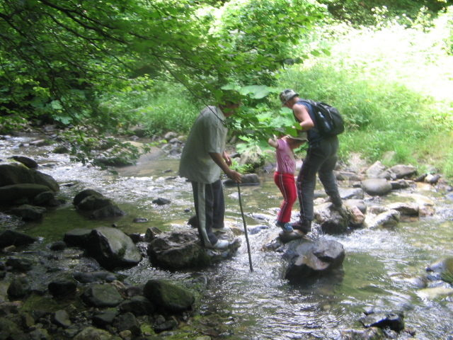 IMG_2395; Pe valea Mişidului,spre peştera Moanei
