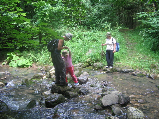 IMG_2406; Valea Mişidului
