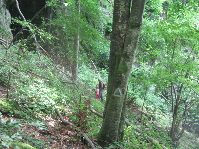 IMG_2418; Peştera Moanei
