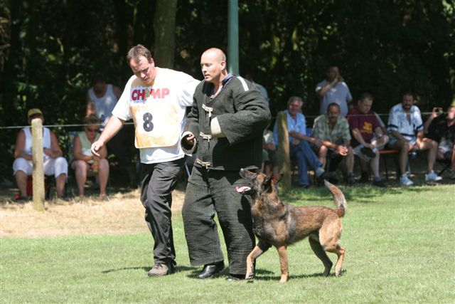 TATAL LUI FREUD-KAMATZ - Cainii mei-Malinois