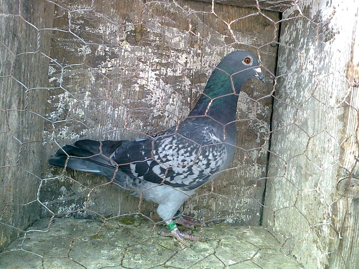 Photo0192