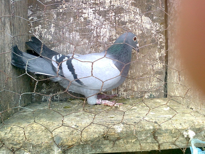 Photo0194