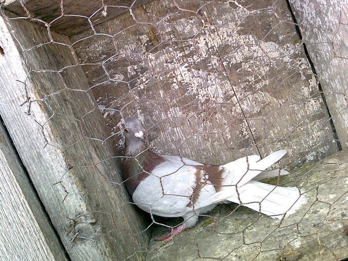 Photo0201; de 2010
