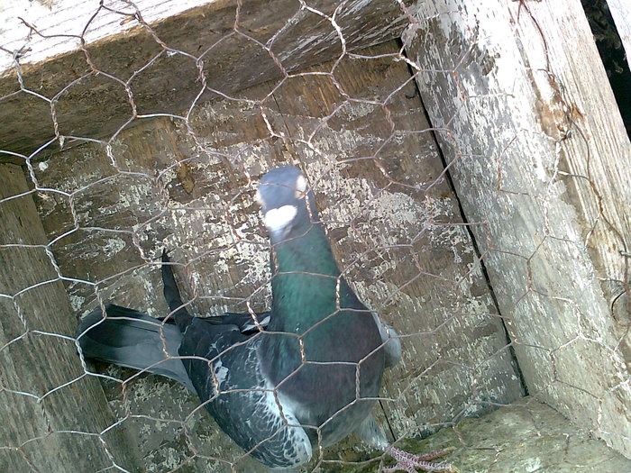 Photo0205