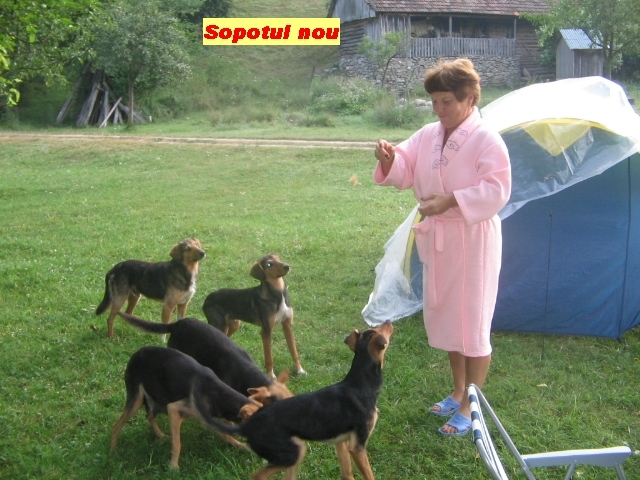 IMG_0720; Acestia ne-au pazit noaptea
