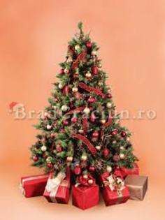 images (41) - Craciunul