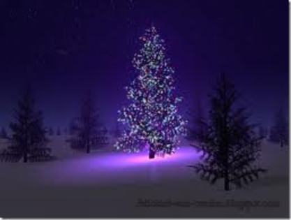 images (55)