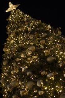 images (11) - Craciunul