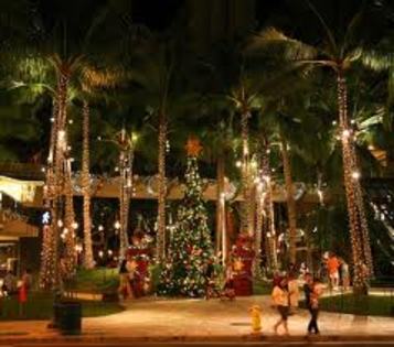 images (15) - Craciunul