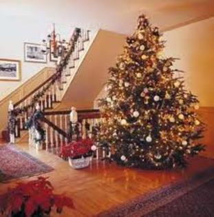 images (16) - Craciunul