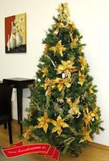 images (77)