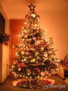 images (78)