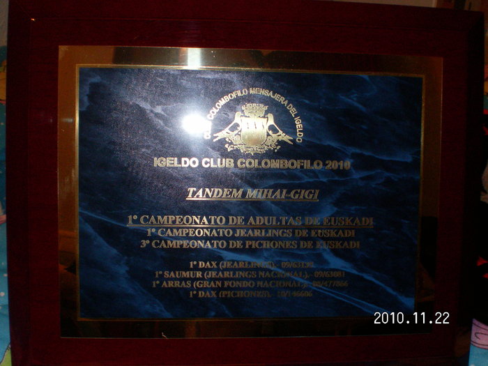 trofee 2010 005 - premii 2010