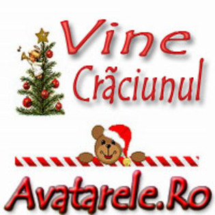 11 - Craciunul