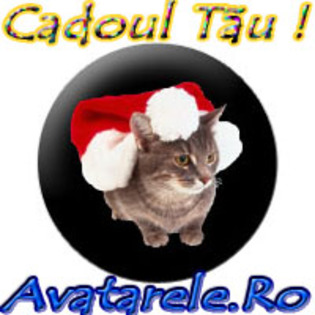 25 - Craciunul