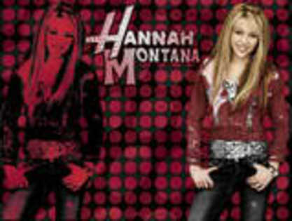 hannah-wp