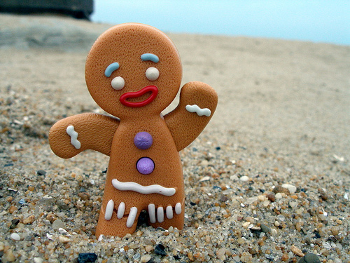 575675661_2df3f29a13 - GiNgErBrEaD