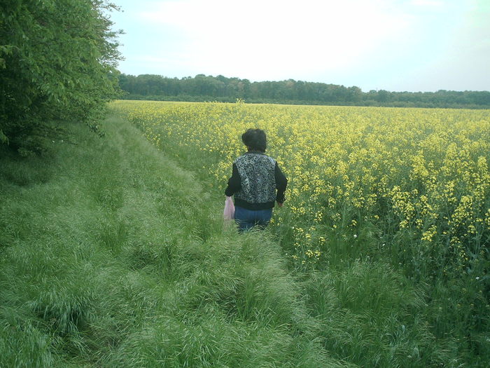 IMAG0019; Camp de rapita
