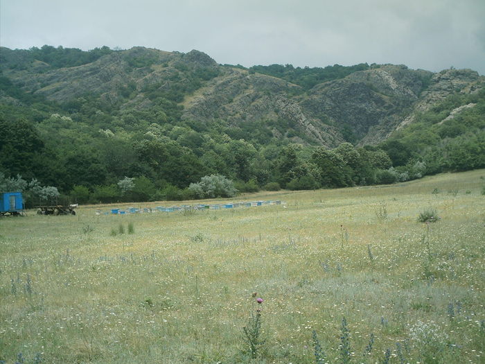 IMAG0031; Stupina  89 ani
