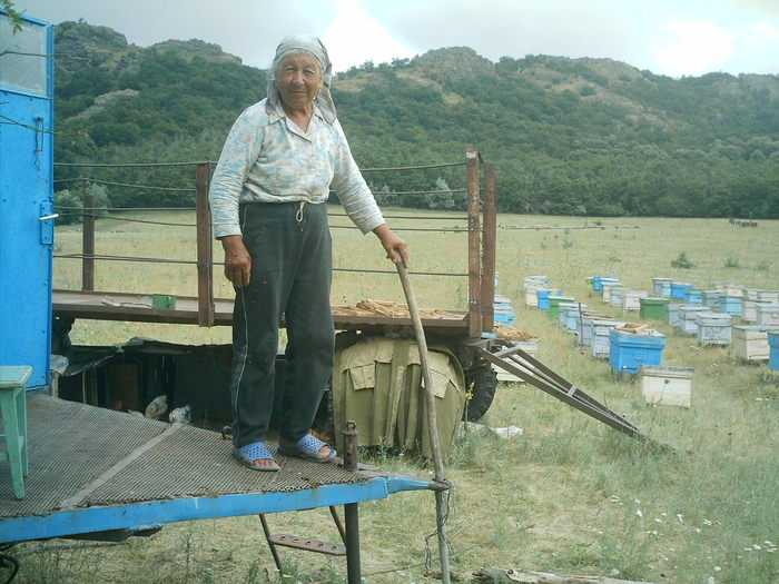 IMAG0026; Mamaia apicutoare
