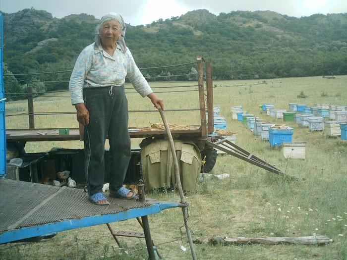 IMAG0027; Mamaia apicultoare 2
