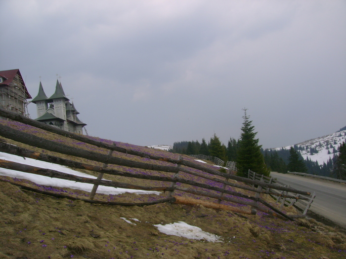 in varful prislopului - in borsa in concediu