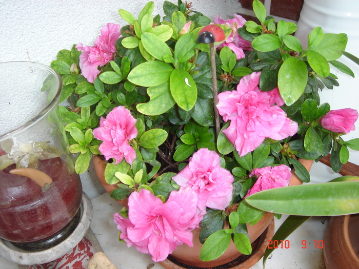 DSC09160