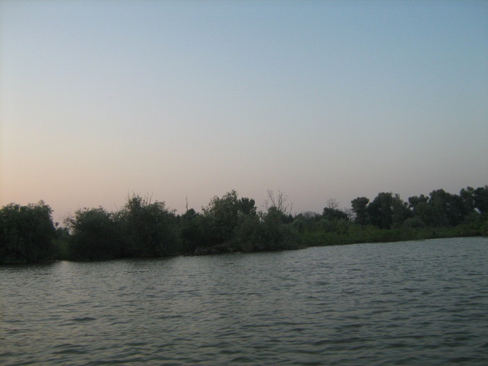 Copy (2) of IMG_8082