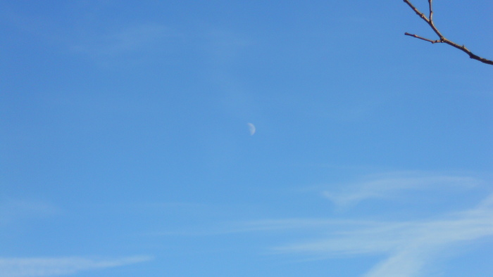 DSCN3414