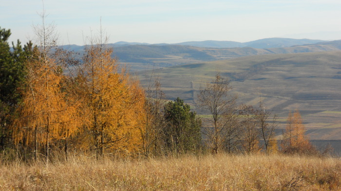 DSCN3416