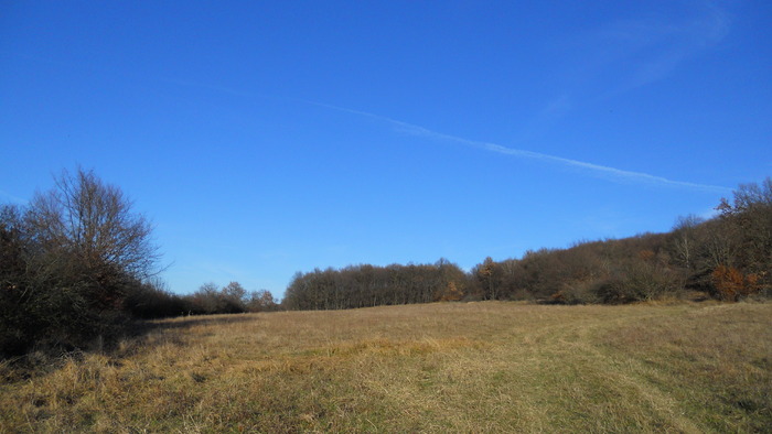 DSCN3418